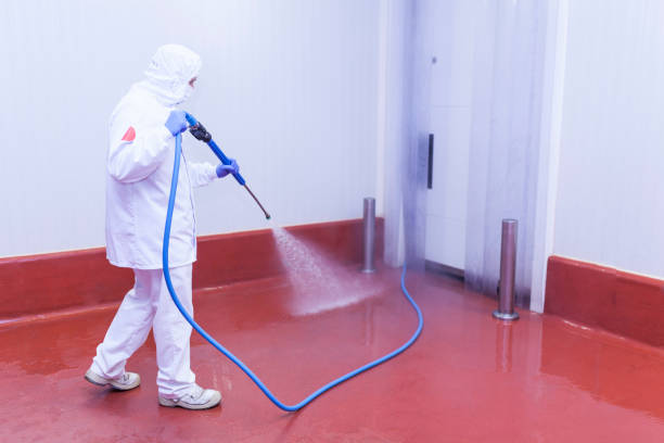 Best Pool Deck Cleaning in Malibu, CA